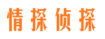 平乡婚外情调查取证